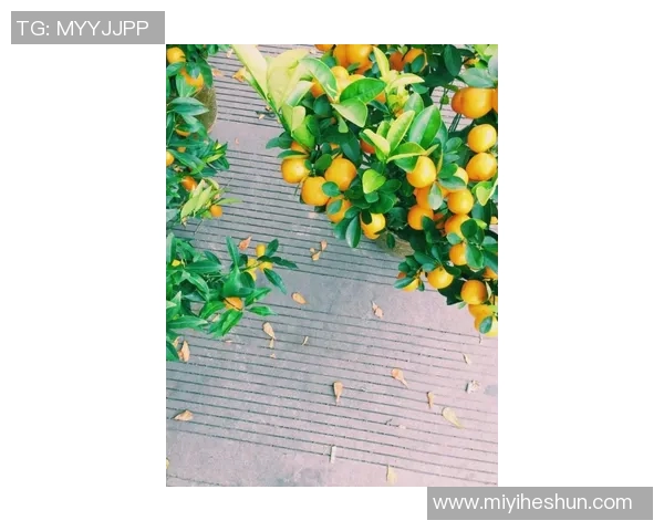 周娜独家揭秘足球世界的精彩瞬间与个人心得分享