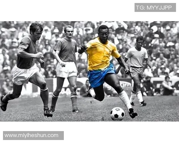 埃尔温足球明星的辉煌成就与影响力盘点