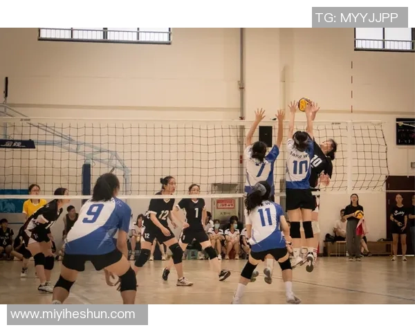 成都排球队与西安排球队赛后复盘探讨战术灵活性与应变能力 成都排球队与西安排球队赛后复盘探讨战术灵活性与应变能力